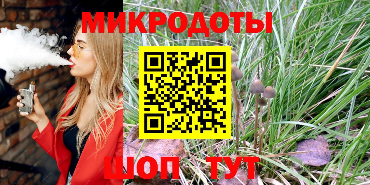 Галлюциногенные грибы Psilocybine cubensis Абинск