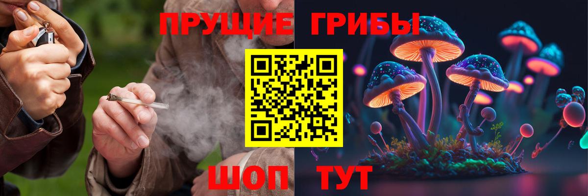 Псилоцибиновые грибы MAGIC MUSHROOMS  Вход с VPN  сколько стоит  Абинск 